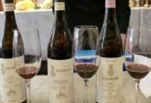 Florence Wine Tasting